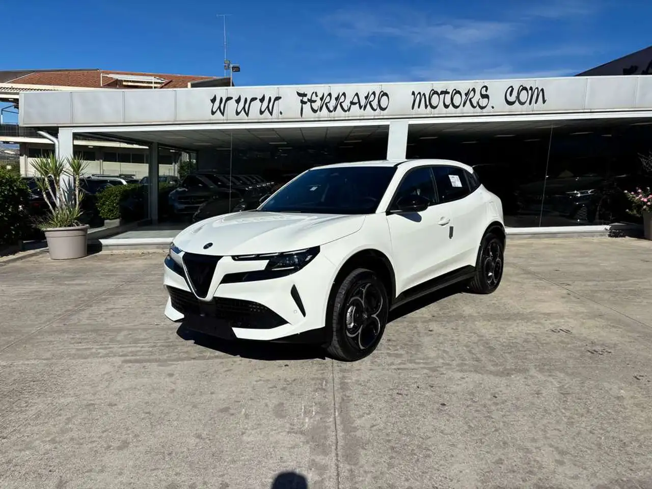 Alfa Romeo Junior