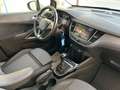 Opel Crossland Business Edition 1,5 CDTI *1. Besitz/Service neu* Bianco - thumbnail 14