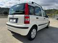 Fiat Panda Panda 1.2 Dynamic Eco - thumbnail 5