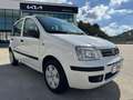 Fiat Panda Panda 1.2 Dynamic Eco - thumbnail 7