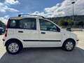 Fiat Panda Panda 1.2 Dynamic Eco - thumbnail 6