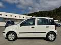 Fiat Panda Panda 1.2 Dynamic Eco - thumbnail 2