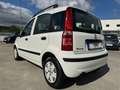 Fiat Panda Panda 1.2 Dynamic Eco - thumbnail 3