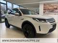 Land Rover Discovery Sport 1.5 P300e SE sofort Verfügbar Weiß - thumbnail 4