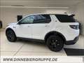 Land Rover Discovery Sport 1.5 P300e SE sofort Verfügbar Weiß - thumbnail 6