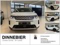 Land Rover Discovery Sport 1.5 P300e SE sofort Verfügbar Weiß - thumbnail 1