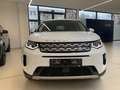Land Rover Discovery Sport 1.5 P300e SE sofort Verfügbar Weiß - thumbnail 3