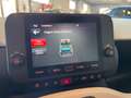 Fiat Panda Pandina 1.0 firefly hybrid 2025 Cross Prezzo vero Bianco - thumbnail 14
