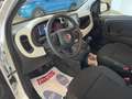 Fiat Panda Pandina 1.0 firefly hybrid 2025 Cross Prezzo vero Bianco - thumbnail 10