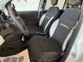 Fiat Panda Pandina 1.0 firefly hybrid 2025 Cross Prezzo vero Bianco - thumbnail 11