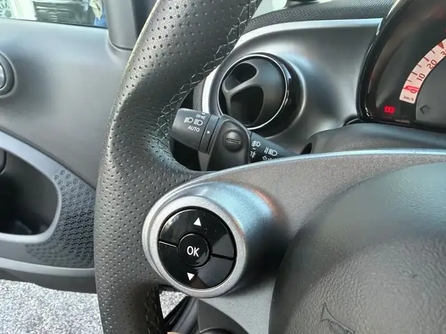 Smart Fortwo view 15