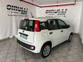 Fiat Panda 1.2 69 CV POP Blanc - thumbnail 4