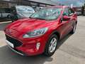 Ford Kuga 2.5 PHEV C&C *AHK, Navi, EPH, Winterpaket...* Rouge - thumbnail 3