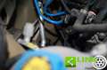 Fiat Panda 1.0 FireFly S&S Hybrid City Life Orange - thumbnail 49