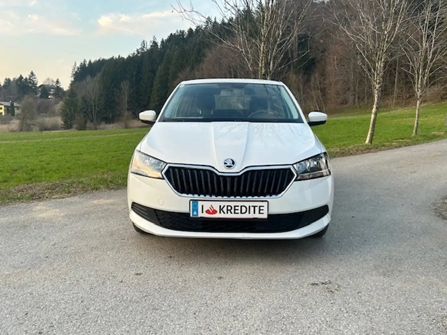 Skoda Fabia 8fach Bereift & möglicher SOFORTFINANZIERUNG!!! Weiß - 2