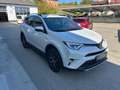 Toyota RAV 4 RAV4 2,5 4WD HSD Weiß - thumbnail 3