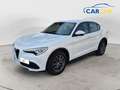 Alfa Romeo Stelvio Stelvio 2.2 Turbodiesel 160 CV AT8 RWD - thumbnail 1