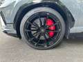 Lamborghini Urus Urus S 19Tkm Wartung/Service NEU Akrapovic TOP Gris - thumbnail 5
