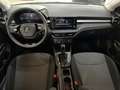 Skoda Fabia Selection 1.0 TSI DSG SHZ PDC Freisprech Grau - thumbnail 15