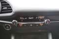 Mazda 3 SKYACTIV 2.0 Selection Matrix Kamera HuD Grau - thumbnail 13