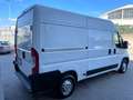 Peugeot Boxer Tetto alto passo medio *PREZZO IVA ESCLUSA* Bianco - thumbnail 7