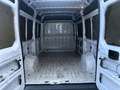 Peugeot Boxer Tetto alto passo medio *PREZZO IVA ESCLUSA* Bianco - thumbnail 9