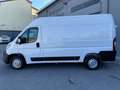 Peugeot Boxer Tetto alto passo medio *PREZZO IVA ESCLUSA* Bianco - thumbnail 4