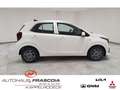 Kia Picanto 1.0 VISION Navi PDC SHZ Rückfahrkam Bluetooth Appl White - thumbnail 4