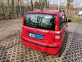 Fiat Panda 1.2 Dynamic Grün - thumbnail 3