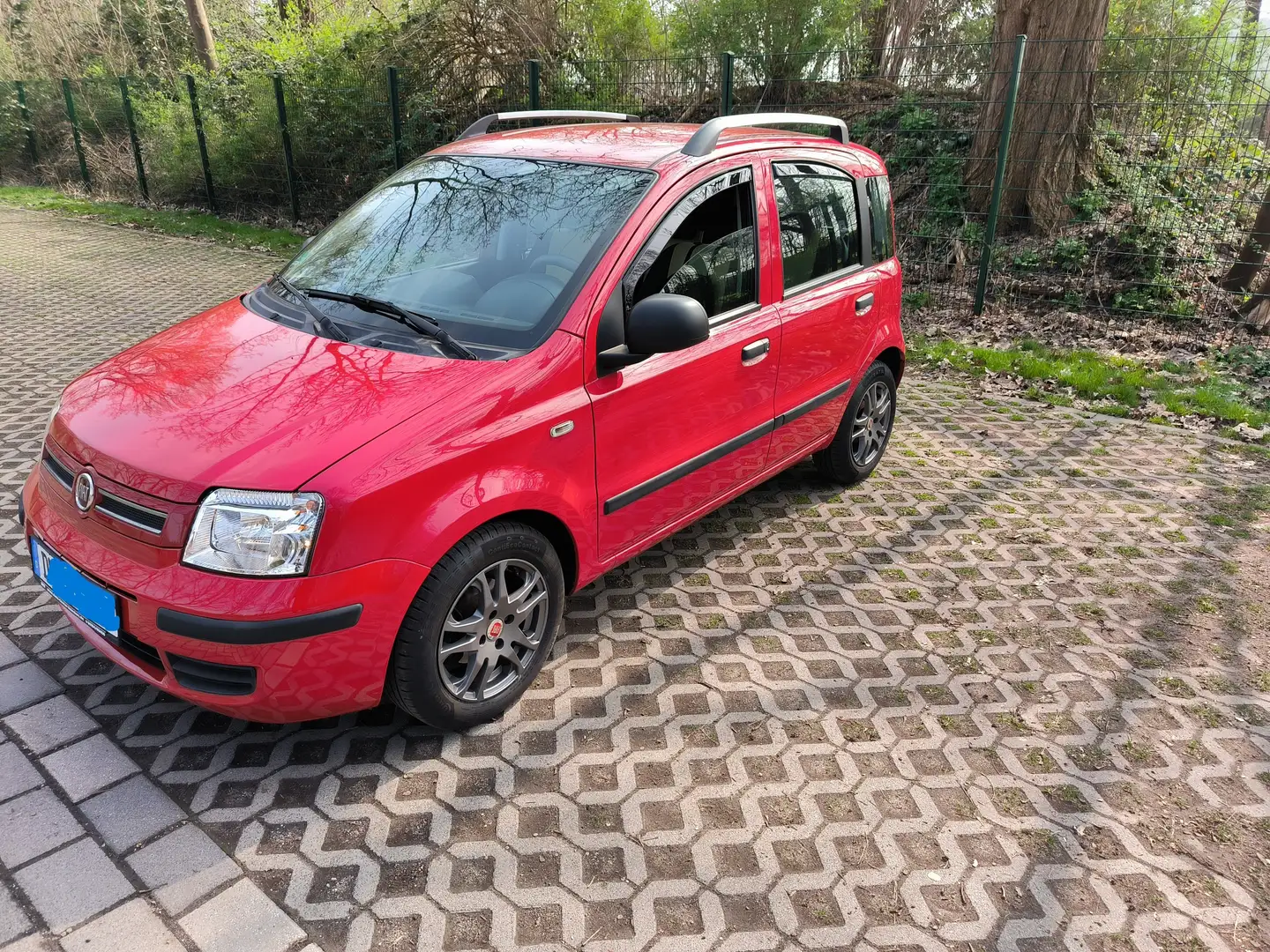 Fiat Panda 1.2 Dynamic Grün - 1