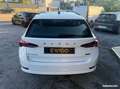Skoda Octavia 1.5 tsi 150 ch hybrid mhev business dsg7 Blanc - thumbnail 6