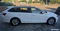 Skoda Octavia 1.5 tsi 150 ch hybrid mhev business dsg7 Blanc - thumbnail 4