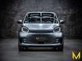 smart forTwo EQ cabrio prime EXCLUSIVE:ALLES EINPACKEN Gris - thumbnail 3