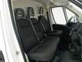 Fiat Ducato 33 L2H2 2.3 MULTIJET 140CV Blanco - thumbnail 8
