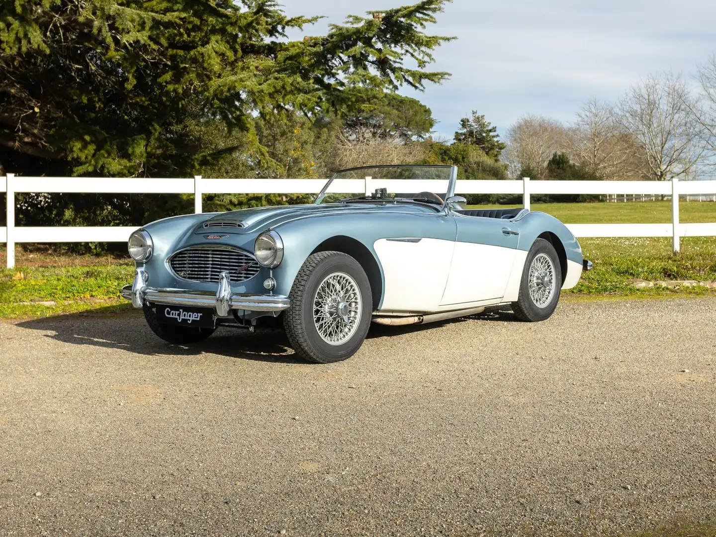 Austin-Healey 3000 BT7 Azul - 1