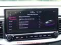 Kia ProCeed / pro_cee'd 1.0 T-GDI GT-Line Edition NAVI/CAMERA/CARPLAY/DAB Grijs - thumbnail 17