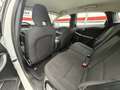 Volvo V40 Cross Country D2 120 Blanco - thumbnail 12