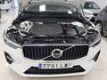 Volvo XC60 Todoterreno Automático de 5 Puertas White - thumbnail 17