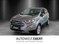 Ford EcoSport 1,0 Titanium - thumbnail 1