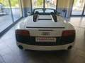 Audi R8 Spyder 5.2 V10 525 cv Quattro - cambio manuale - Blanc - thumbnail 5