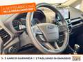 Ford EcoSport 1.0 ecoboost active s&s 125cv GPL Blanc - thumbnail 19
