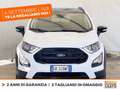 Ford EcoSport 1.0 ecoboost active s&s 125cv GPL Blanc - thumbnail 3