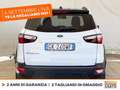 Ford EcoSport 1.0 ecoboost active s&s 125cv GPL Blanc - thumbnail 5