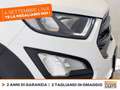 Ford EcoSport 1.0 ecoboost active s&s 125cv GPL Blanc - thumbnail 14