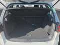 Volkswagen Golf Sportsvan 1.0 TSI Comfortline Alu LED Navi ACC Kamera Sitzhe Weiß - thumbnail 22