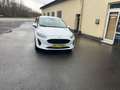 Ford Fiesta Trend 1,0 *101PS* Viele EXTRAS* Bianco - thumbnail 14