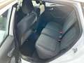 Ford Fiesta Trend 1,0 *101PS* Viele EXTRAS* Wit - thumbnail 10
