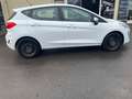 Ford Fiesta Trend 1,0 *101PS* Viele EXTRAS* Blanco - thumbnail 15