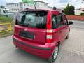 Fiat Panda 1.2 KLIMA Red - thumbnail 7