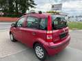 Fiat Panda 1.2 KLIMA Red - thumbnail 5